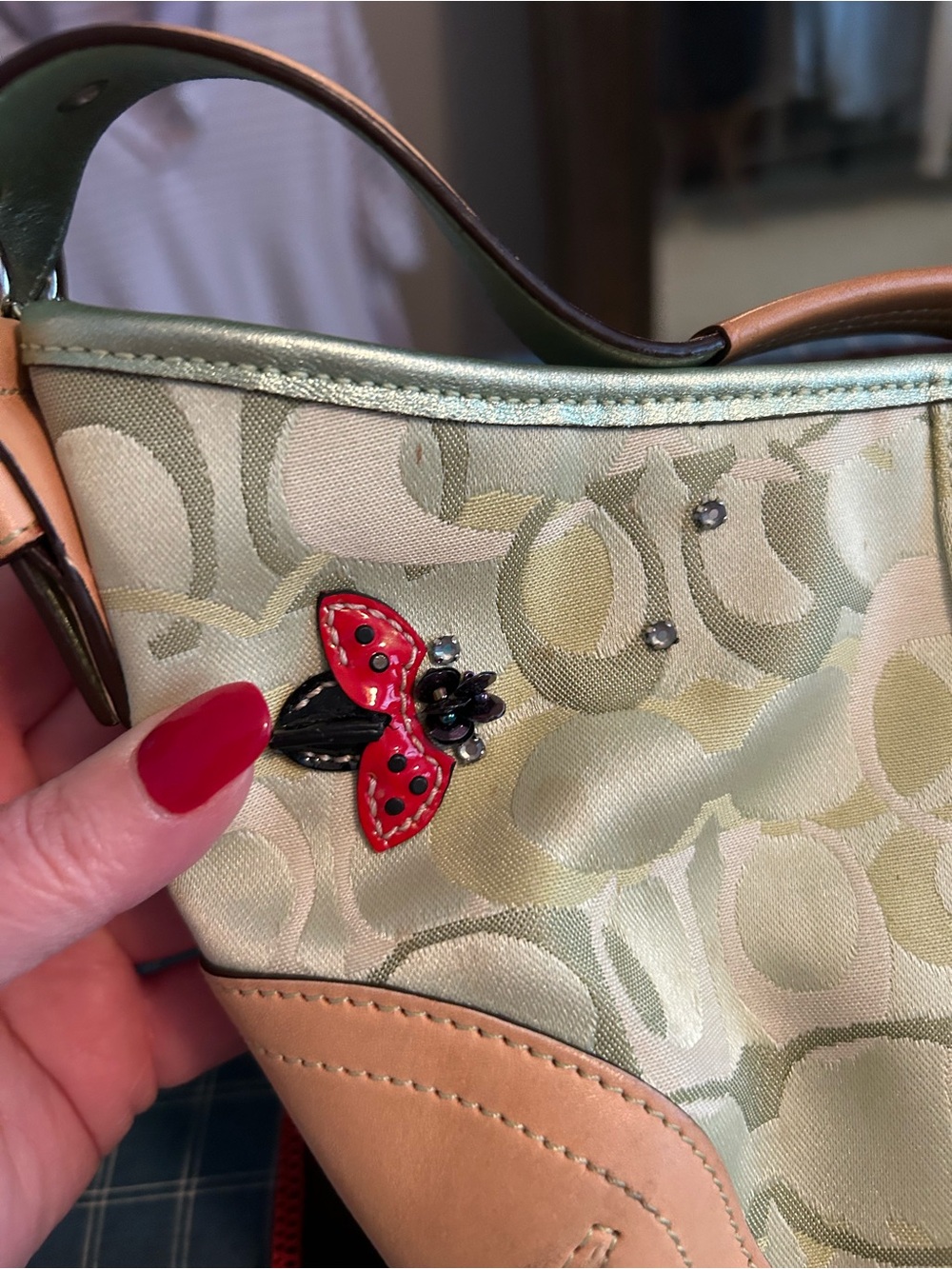 Coach Signature Hobo with Red Ladybug Accents — Green and Tan - Picture 2 of 6